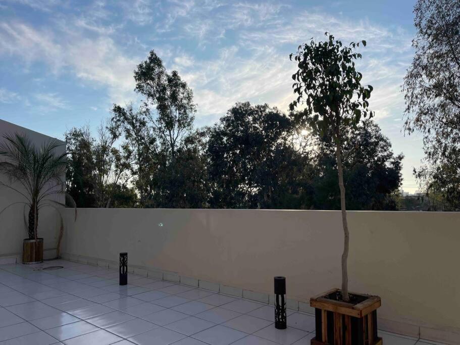 Otay Studio Great Patio Near Otay Crossing & Airport Tijuana Esterno foto